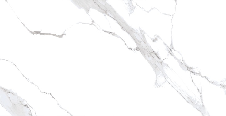 Calacatta Noir Marble Look Tile