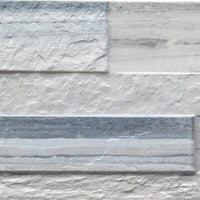 Palissandro Marble Look Tile 3-D Decor