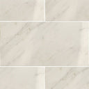Asian Statuary Tile Polished