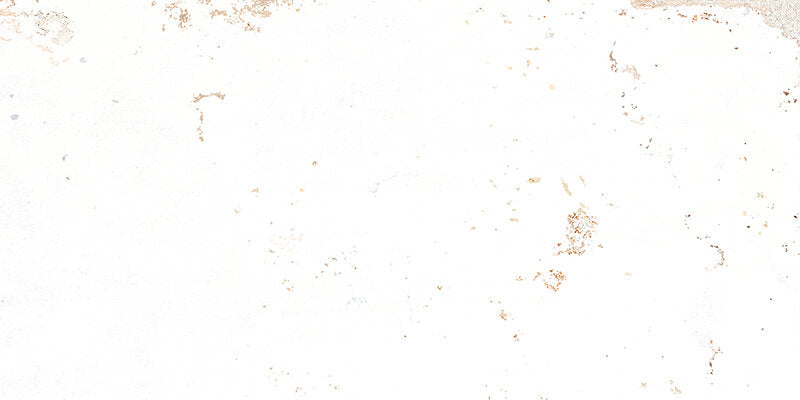 Home Tile