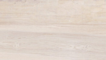 Aequa Wood Look Porcelain Tile 8