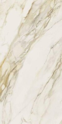 Etoile Tile 16" x 32" - Crème Glossy