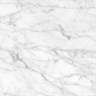 Plata Field Tile "Matte" 24" x 24" - Carrara Abisso