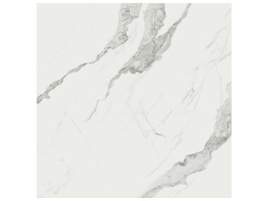 Mayfair Tile 24" x 24" - Statuario Venato Matte