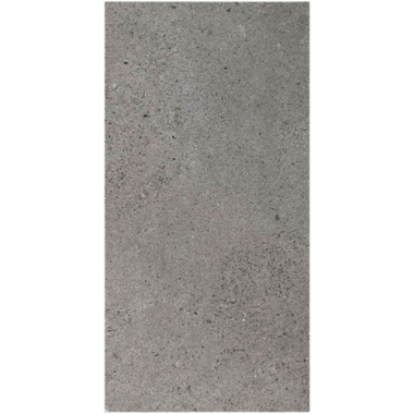 Chamonix Tile 12" x 24" - Gray