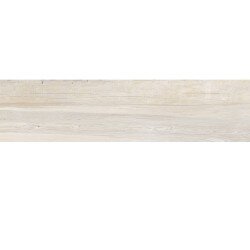 Aequa Tile 12" x 48" - Nix