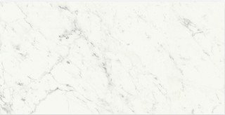 I Marmi Tile 12" x 24" - Carrara Matte