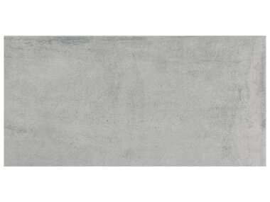 Industria Tile 24" x 48" - Lithium