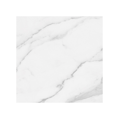 Plata Field Tile "Polished" 24" x 24" - Statuario Brina