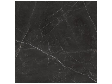 La Marca Tile 24" x 24" - Nero Venato Polished