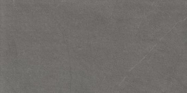 Arkistone Series Tile 24" x 48" - Silver