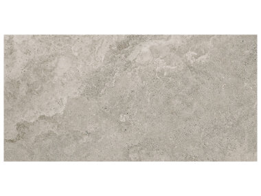 Veneta Tile 12" x 24" - Stormio