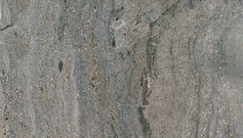Venus Tile 10