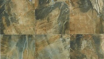 Fossil Tile 12