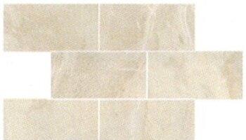 Fossil Tile Mosaic 3