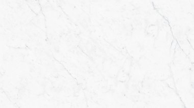 Carrara Tile 24" x 48" - Carrara