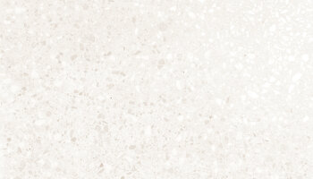 Terrazzo Porcelain Tile 24