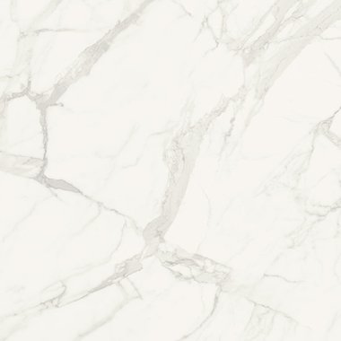 Marmorea Tile Matte 12" x 24" - Bianco Statuario