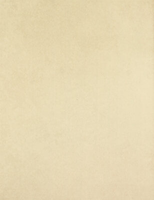Kelly Wall Tile 10" x 13" - Cream