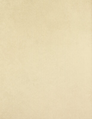 Kelly Wall Tile 10" x 13" - Cream