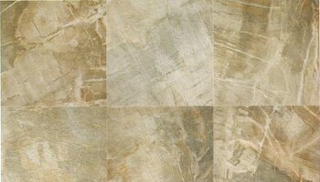 Fossil Tile 12