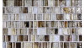 Haisen Sorrel Natural Barcode Mosaic 12