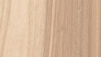 Hike Wood Look Porcelain Tile 