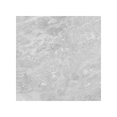 Plata Field Tile "Polished" 24" x 24" - Perla Grigia