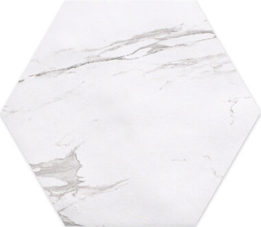 Roma Series Tile Hexagon 10" x 10" - Statuario