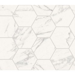Trumarmi Polished Hexagon 4"x4" Tile 12" x 13" - Venatino