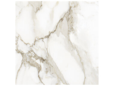 La Marca Tile 24" x 24" - Calacatta Paonazzo Honed