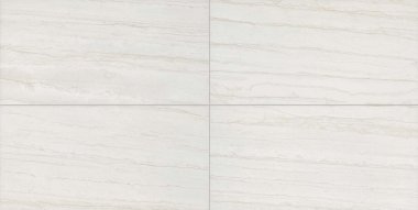 Evolution Tile Semi-Polished 12" x 24" - White