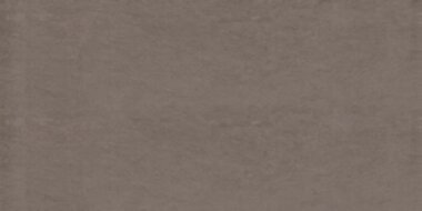 Foussana Tile 12" x 24" - Gray