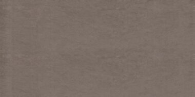 Foussana Tile 12" x 24" - Gray