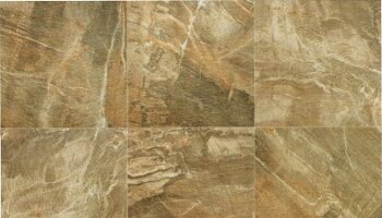Fossil Tile 12