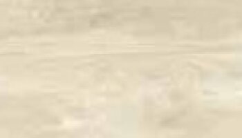Woodland Wood Look Porcelain Tile 8