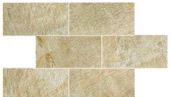 Fossil Tile Mosaic 3