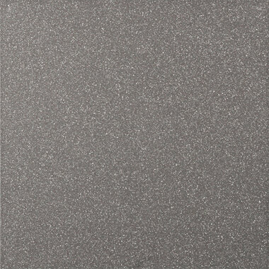 Omnia Tile Small Grain Matte 12" x 12" - Basalto