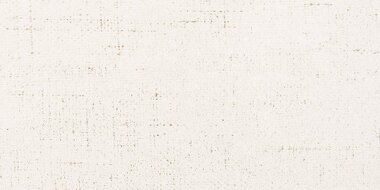 Aria Tile 3" x 12" - Bianco