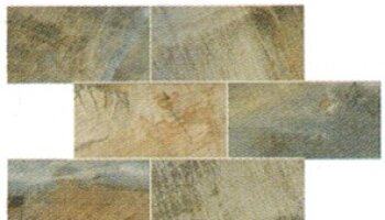Fossil Tile Mosaic 3