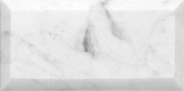 Field Tile Polished Beveled 3" x 6" - Carrara