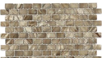 Freshwater Shell Tile Mini-Brick 1/2