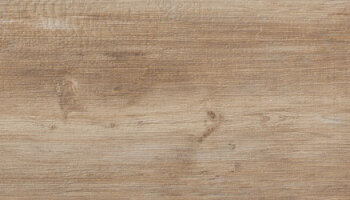 Larix Wood-Look Tile 10