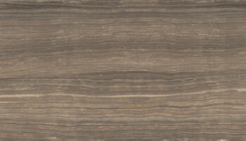 Eramosa Tile Polished 12