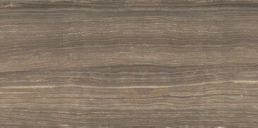 Eramosa Tile Matte 12" x 24" - Natural