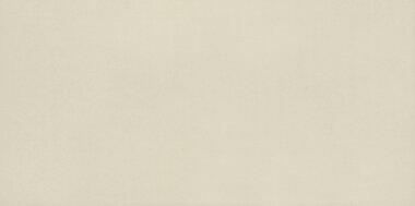 Neoconcrete Tile 12" x 24" - White Matte