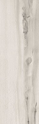 Woodscape Tile 8" x 48" - Bianco