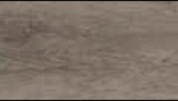 Club Wood-Look Tile - 6