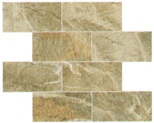 Fossil Tile Mosaic 3" x 6" - Brown