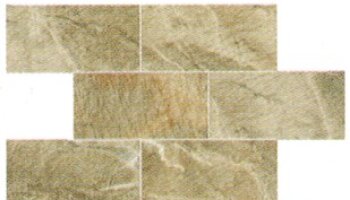 Fossil Tile Mosaic 3